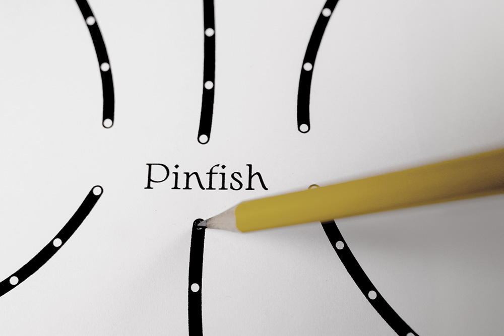 Biscayne tactile newsprint